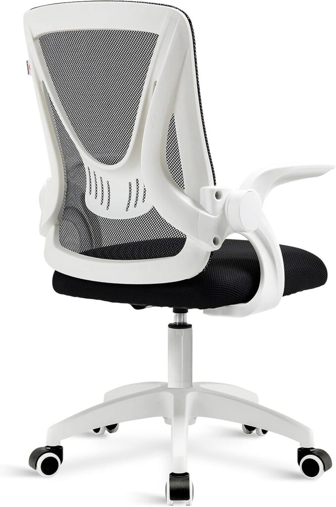 Blisswood Office Chair Desk Chair, Ergonomic Office Chair For Home Office, Adjustable Mesh Chair, Swivel Computer Chair With 90° Flip-up Armrest Lumbar Support, 360° Rotation Work Chair