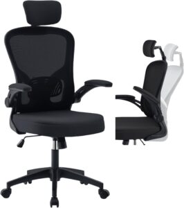 OWAY HOMELIVING Ergonomic Office Chair